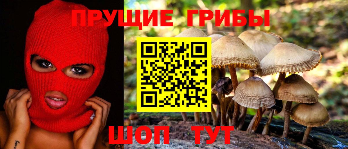 Псилоцибиновые грибы ЛСД  Вход с VPN  Майкоп  Галлюциногенные грибы ЛСД 
