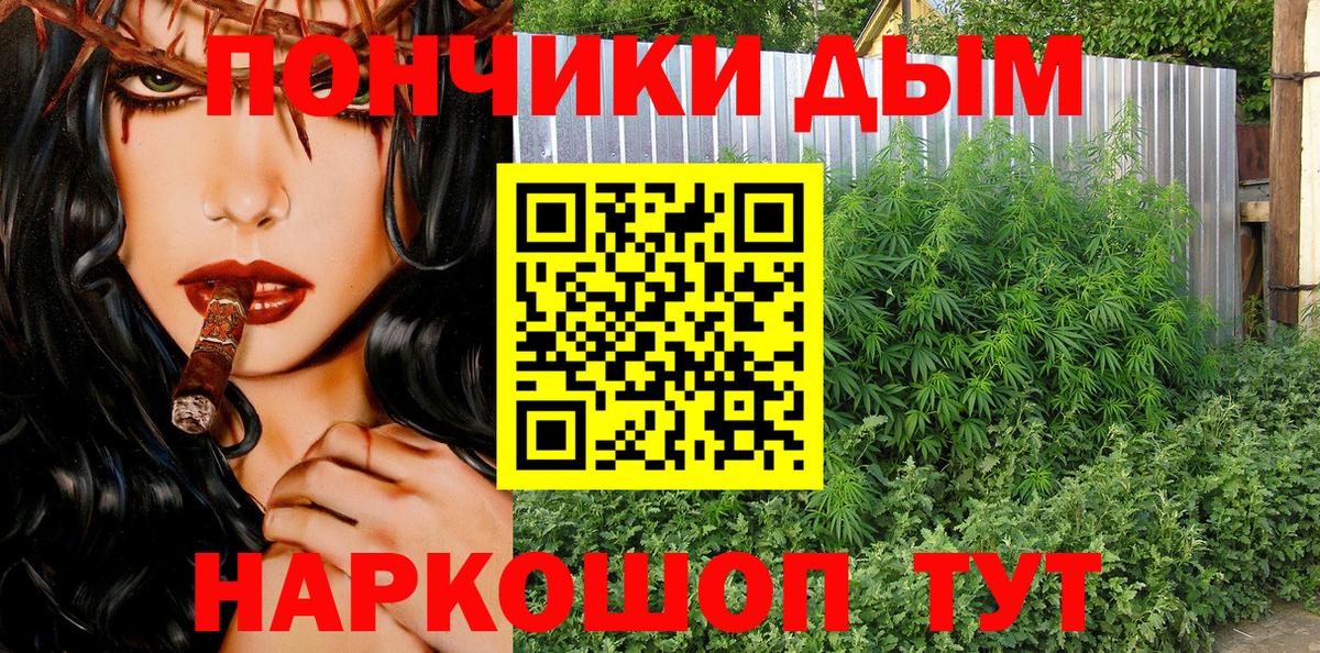 Каннабис Ganja Майкоп